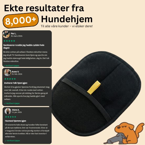 Lussi™ - PelsRens