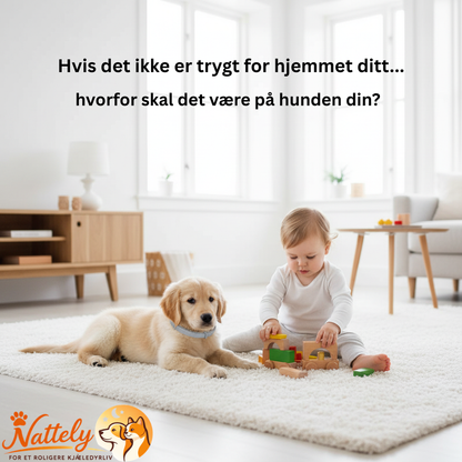 Flåttkrage – en tryggere sommer for hunden din