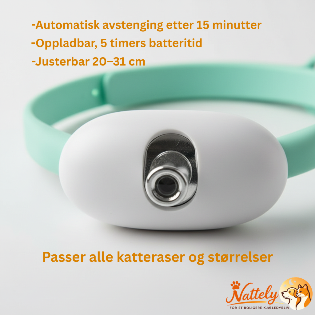 Purr-Collar -Se katten din bli glad og aktiv igjen.