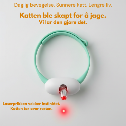 Purr-Collar -Se katten din bli glad og aktiv igjen.