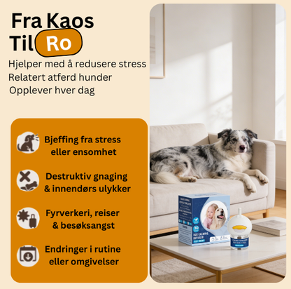 Beroligende Diffuser