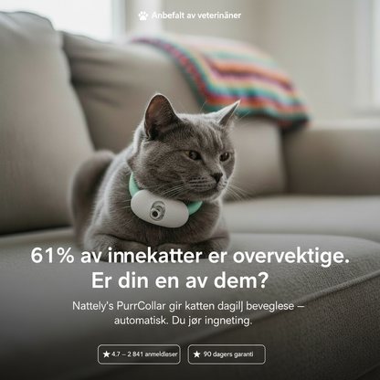 Purr-Collar -Se katten din bli glad og aktiv igjen.
