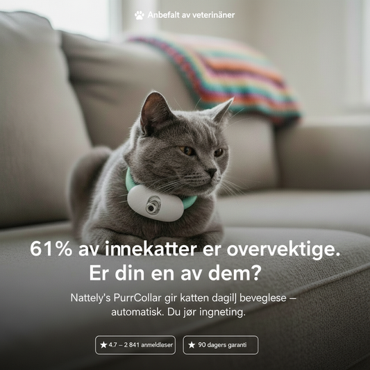 Purr-Collar -Se katten din bli glad og aktiv igjen.