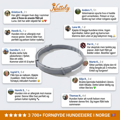 Flåttkrage – en tryggere sommer for hunden din