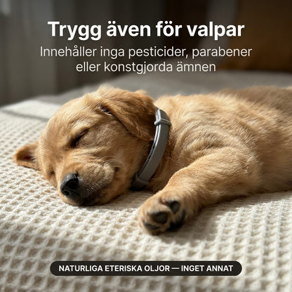 Naturligt Fästinghalsband
